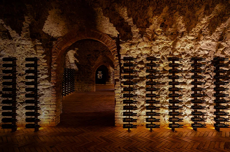 Brunello di <br />Montalcino