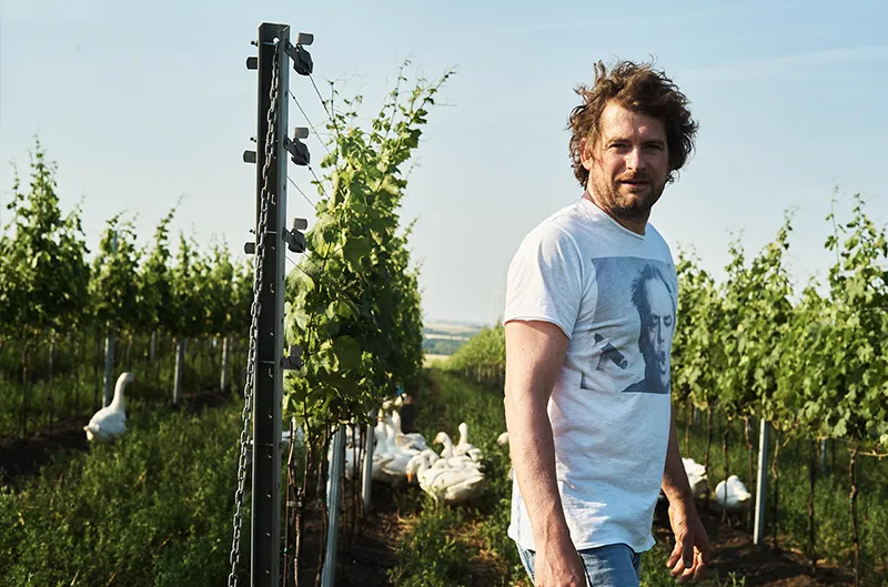 Weingut<br>Zillinger