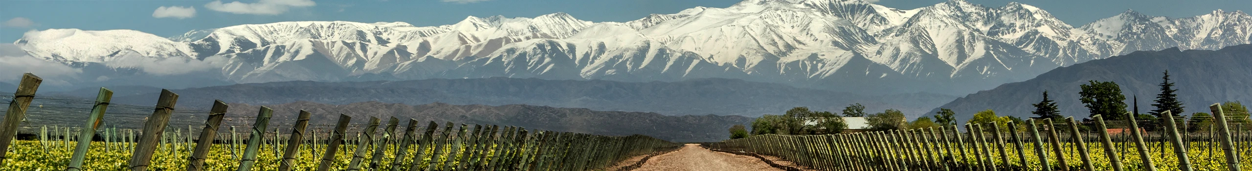 Wein aus Argentinien