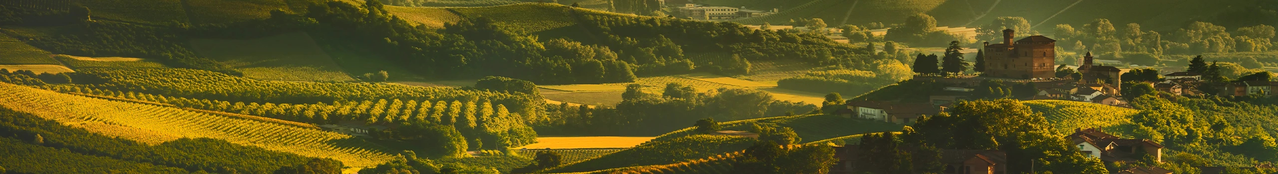 Barolo Weine