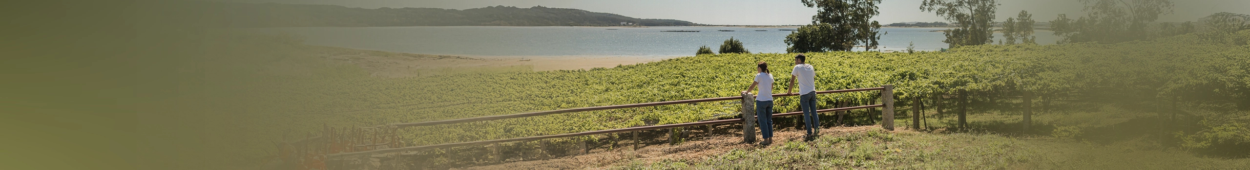 Bodegar Lagar de Costa