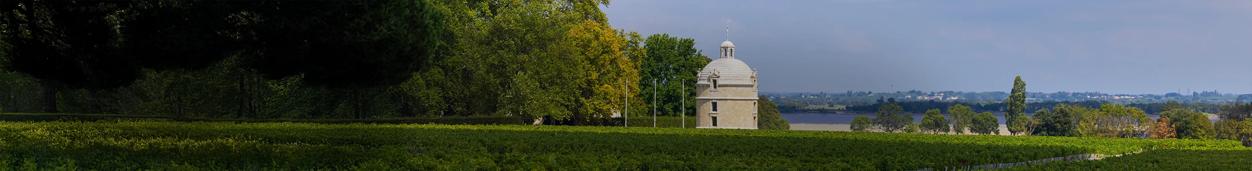 Bordeaux Weine