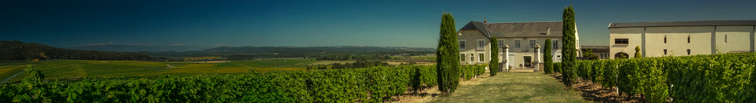Bouchie Chetallier Chateau