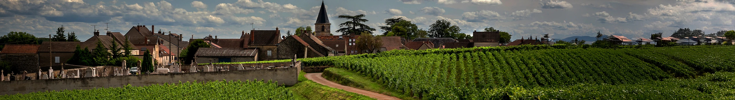 Burgund Wein