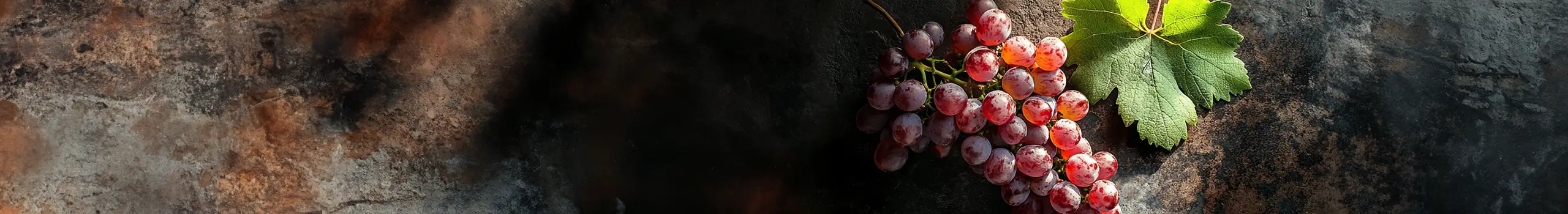 Cabernet Sauvignon Weine