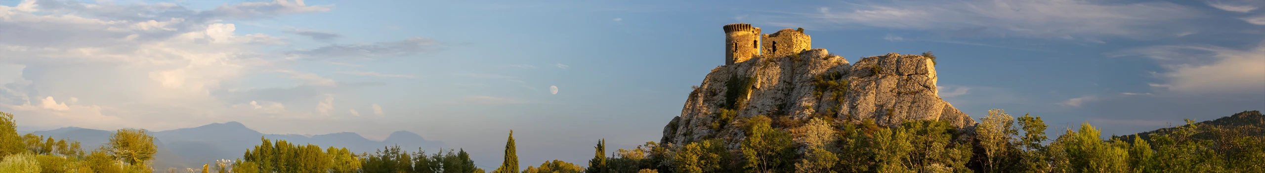 Chateauneuf Wein