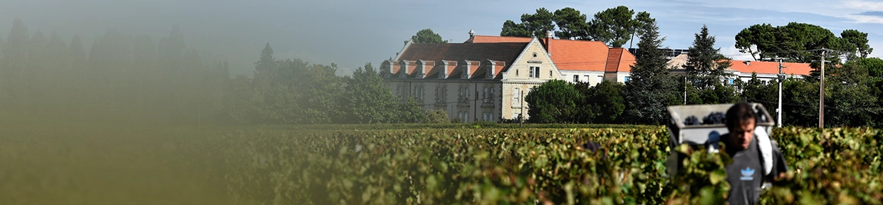 Domaines de La Solitude