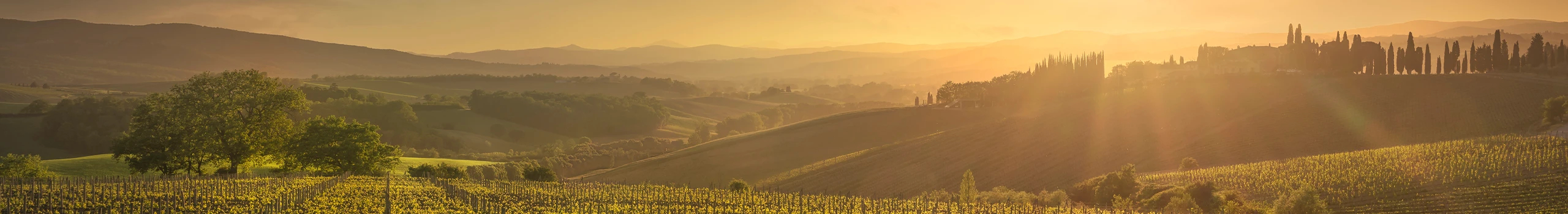 Italienische Weine