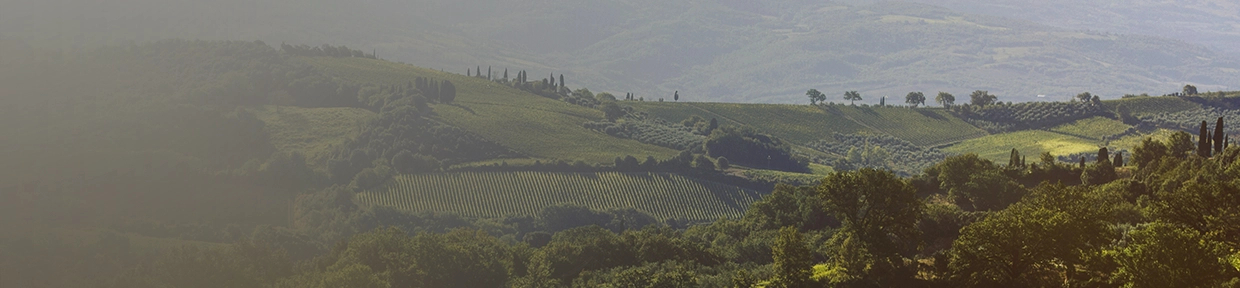 Le Macioche