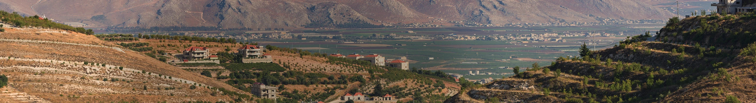 Wein aus dem Libanon