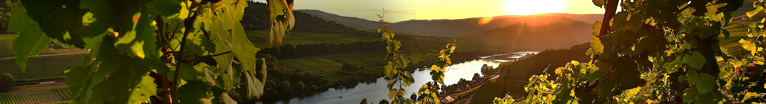Weine von der Mosel