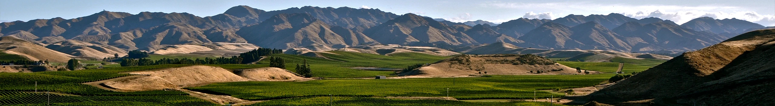 Wein aus Neuseeland