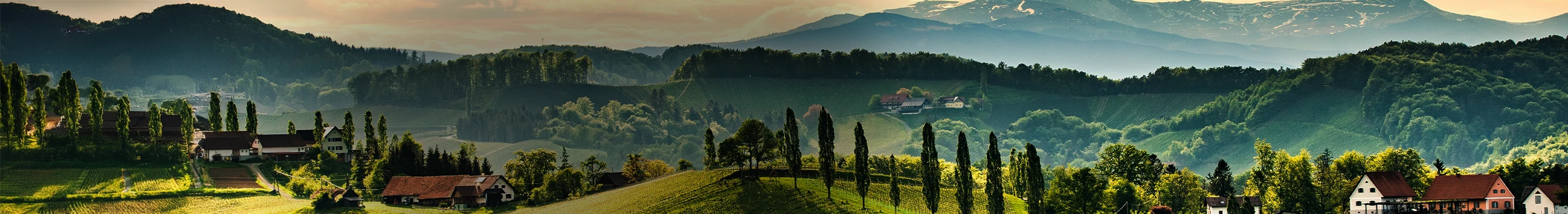 Österreich Weinland
