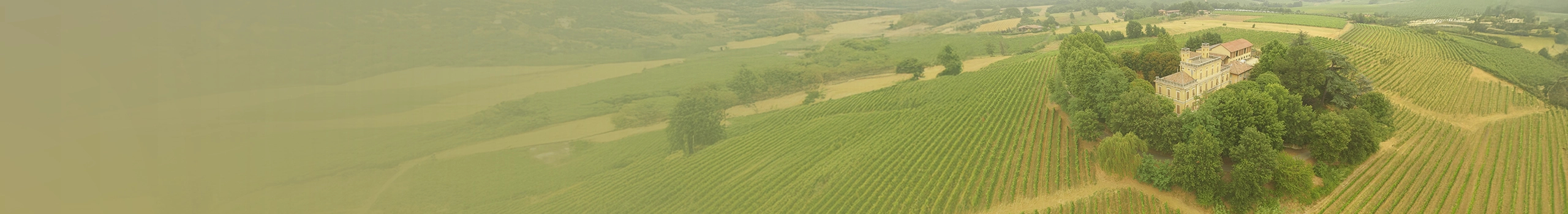 Olim Bauda