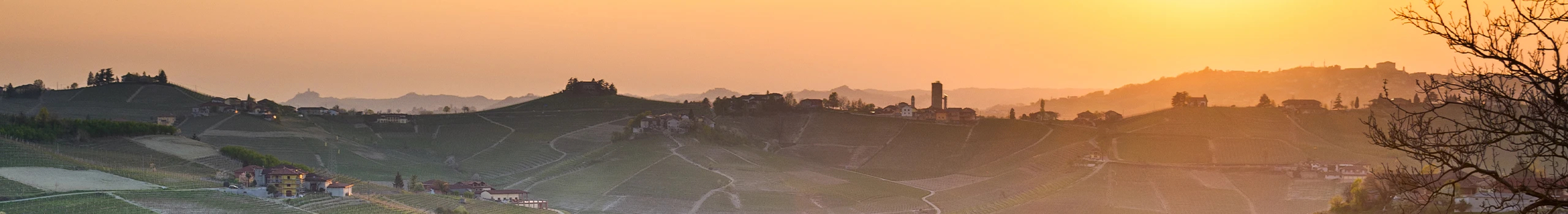 Weine aus dem Piemont