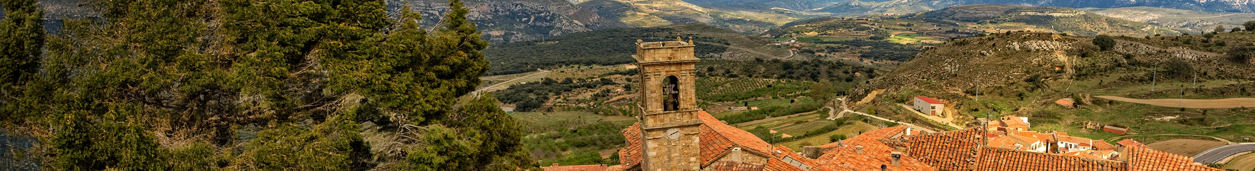 Priorat Weine