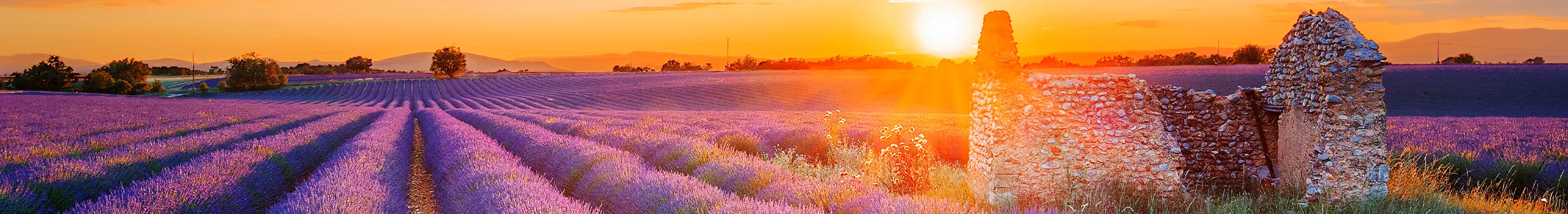 Provence Weine