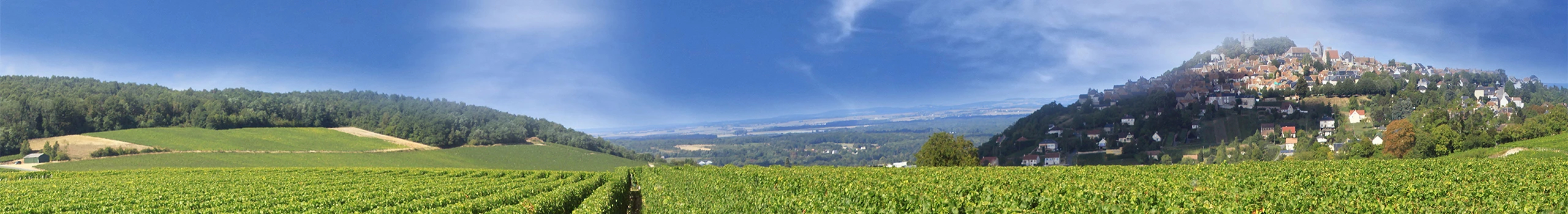 Sancerre Weine