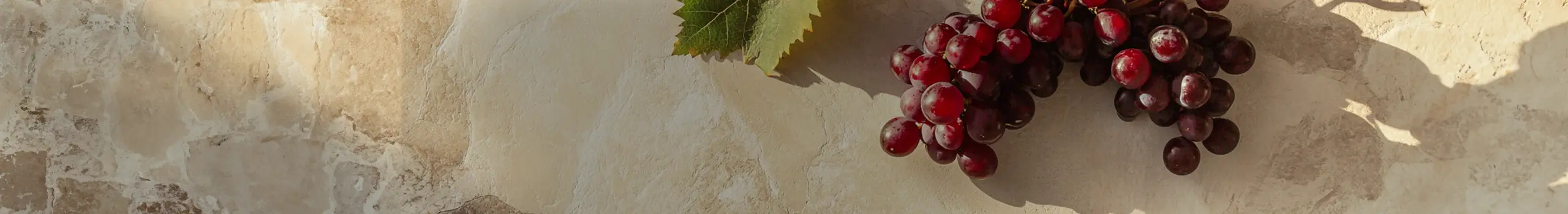 Shiraz Weine