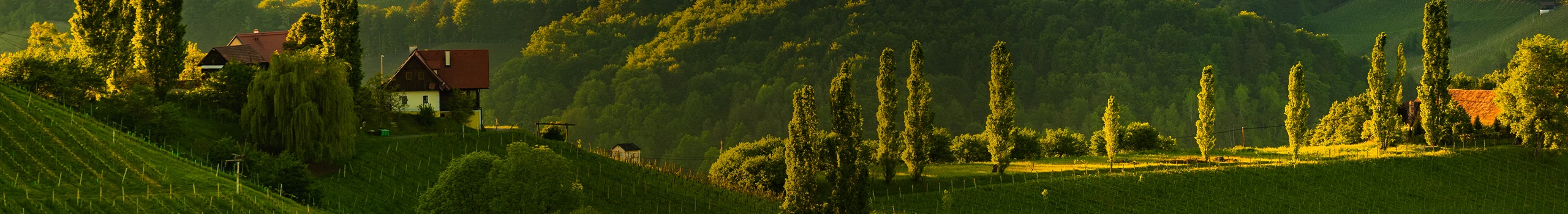 Weine aus der Steiermark