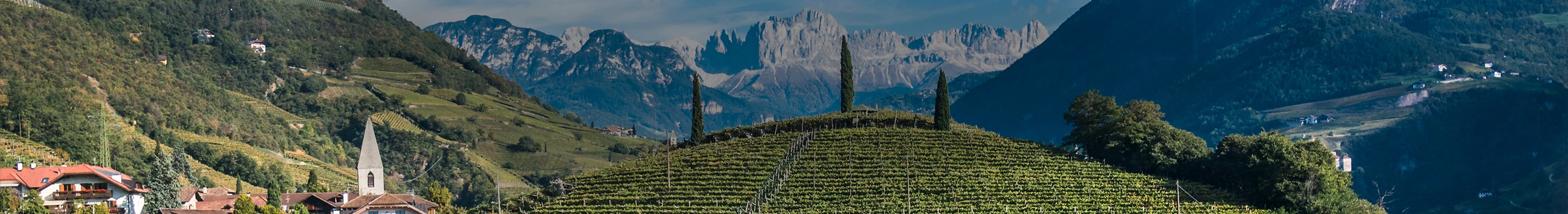 Südtirol Weine