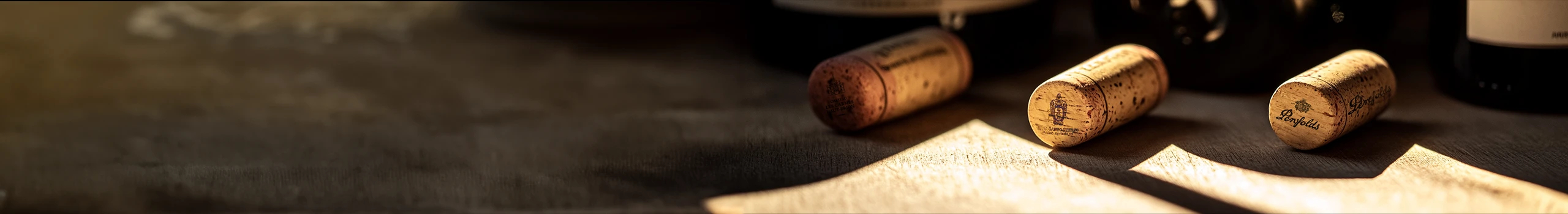 Weinart Teaser