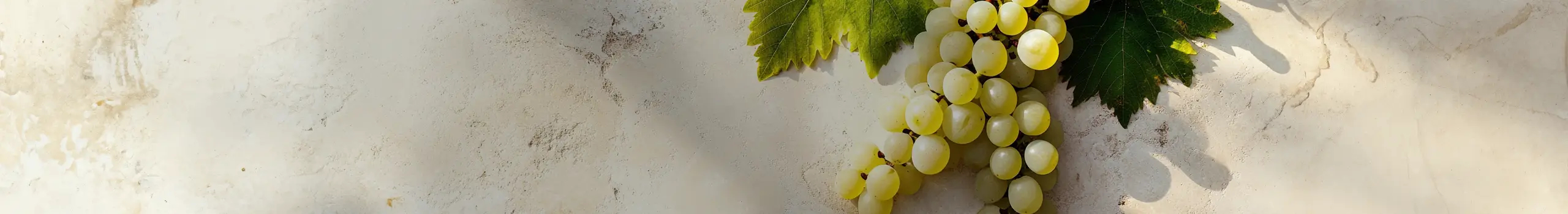 Grüner Veltliner Weine