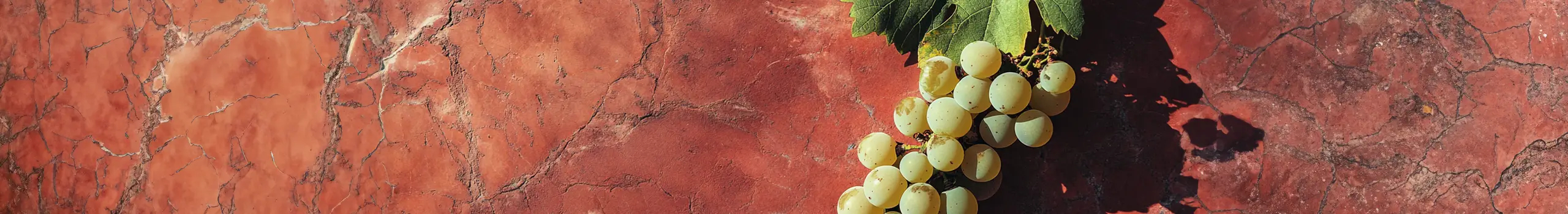 Vermentino Weine