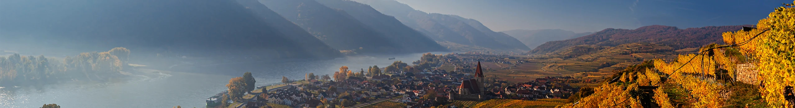 Wachau Weine