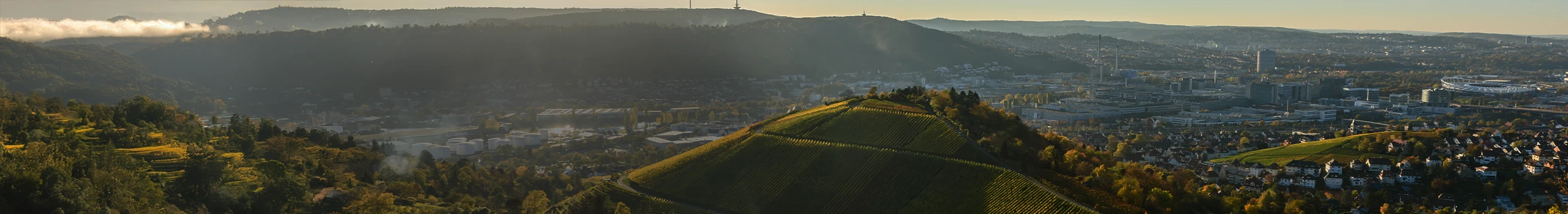 Wein aus Württemberg