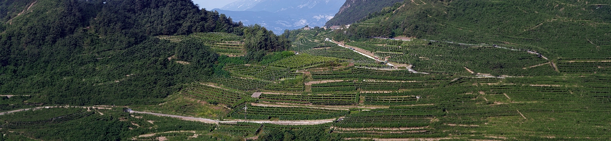 Italienische Schaumweine