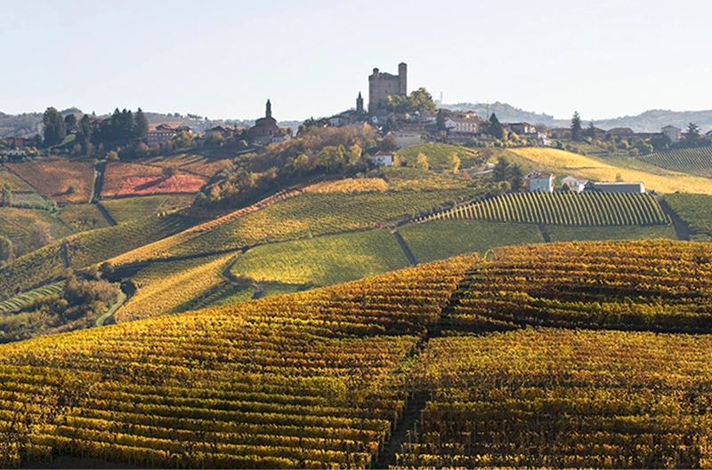 Cantina <br>Vietti 