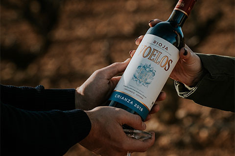 Voelos Rioja Crianza Rioja DOCa 2018 online kaufen | Rotweine