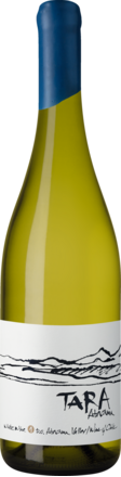 Tara Atacama Chardonnay Atacama DO 2018