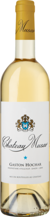 Chateau Musar White Wine of Libanon Bekaa Valley 2013