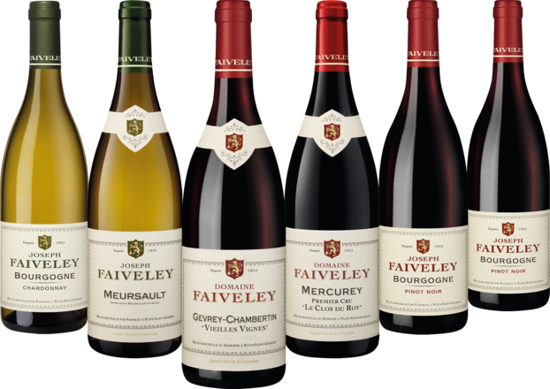Faiveley Grand Bourgogne Collection Burgund, 6 Flaschen 2020