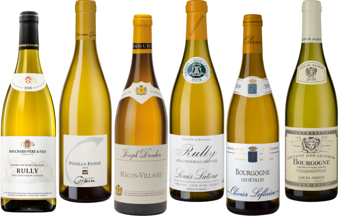 Bourgogne Blanc Collection 6 Flaschen zum Kennenlernpreis