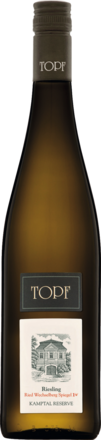 Ried Wechselberg Spiegel Riesling Reserve Kamptal 2019