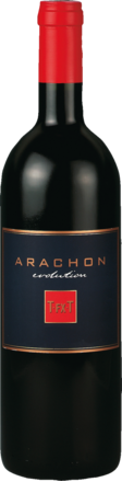 Arachon Evolution T FX T Burgenland 2019