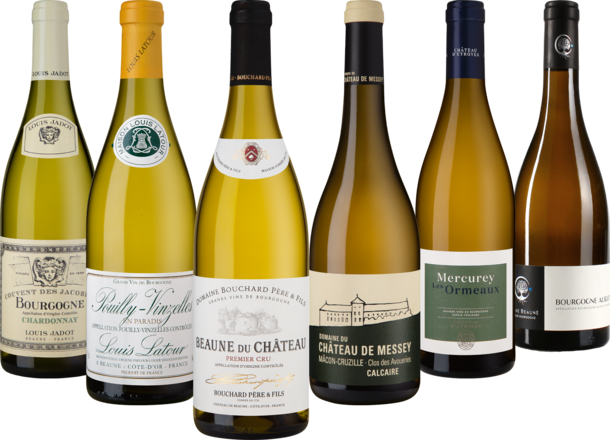 Bourgogne Blanc Collection 6 Flaschen zum Kennenlernpreis