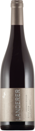 Oberrotweiler Pinot Noir Schwarze Erde trocken, Baden 2021