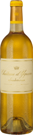 Château d'Yquem Sauternes AOP, 1er Grand Cru Classé 2023