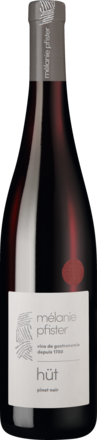 Hüt Pinot Noir Alsace AOP 2022