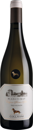 Eugenio Collavini Sauvignon Blanc Blancfumat Collio DOC 2023