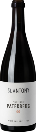 Paterberg Pinot Noir GG Trocken, Rheinhessen 2022