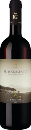 Il Bruciato Bolgheri DOC 2023