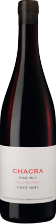 Cincuenta y Cinco Pinot Noir Rio Negro, Patagonia 2024