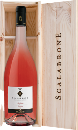 Tenuta Guado al Tasso Scalabrone Antinori Bolgheri DOC, 1,5 L, Holzkiste 2024