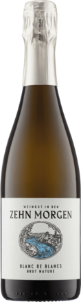 Zehn Morgen Sekt Blanc de Blanc Sekt Brut, Nahe 2020