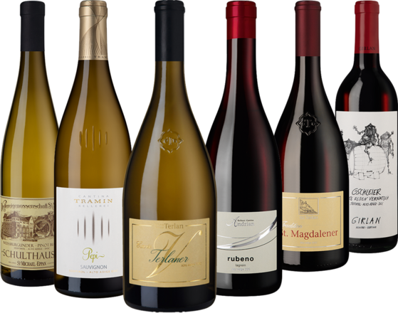 Südtirol Entdecker Paket 6 Fl.